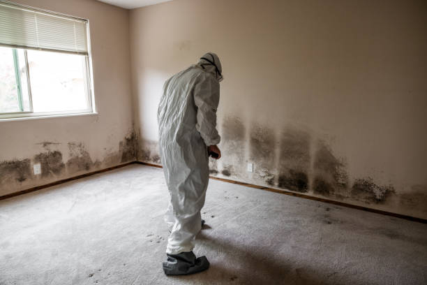 Best Mold Remediation for Vacation Homes  in Lakeland North, WA